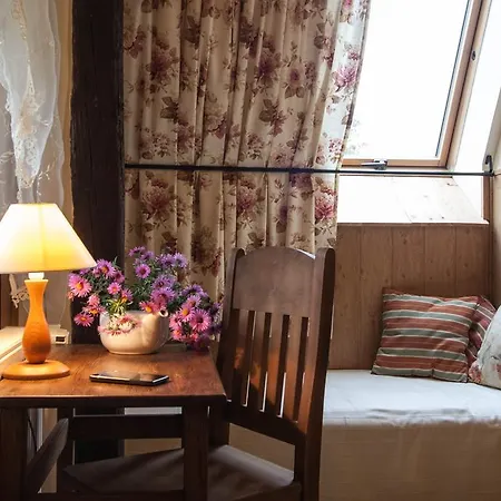 Slezanski Mlyn Отель типа 