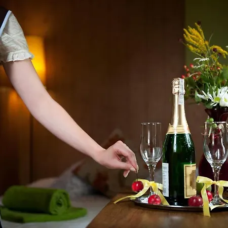 Slezanski Mlyn Отель типа 