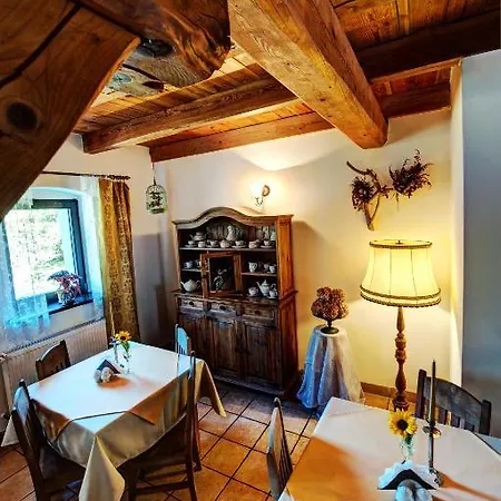 Slezanski Mlyn Отель типа 