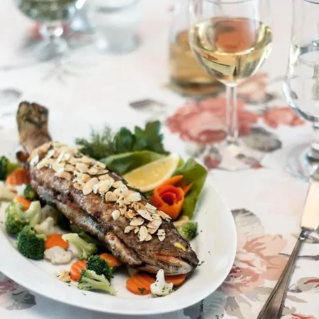 Slezanski Mlyn Отель типа 