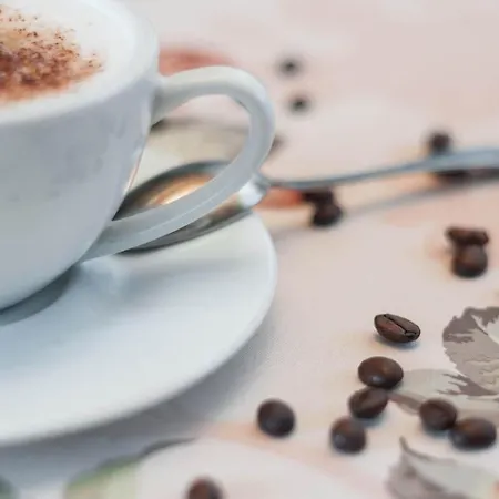 Couette-café Rancho Slezanski Mlyn 3*