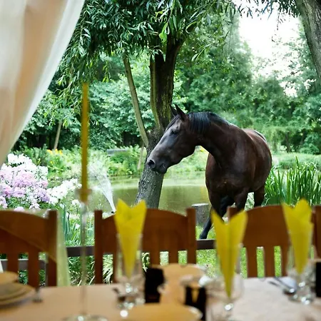 Rancho Slezanski Mlyn * Szczepanów