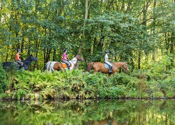 Rancho Slezanski Mlyn 3* Szczepanów