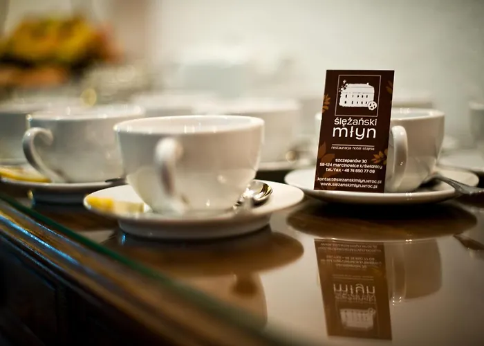 Frühstückspension Rancho Slezanski Mlyn Szczepanów